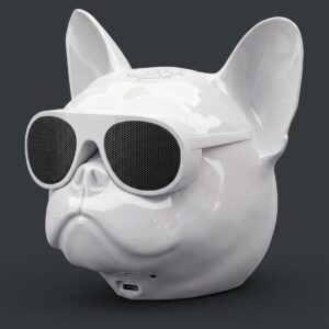 اسپیکر آروبال - ⁦⁦Teal Aerobull ⁦⁦Bulldog
